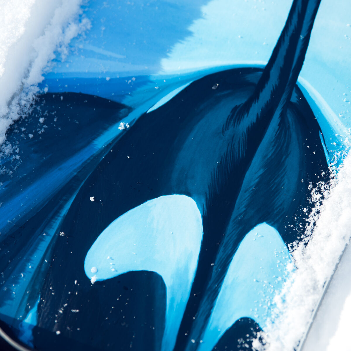 Lib Tech Trice Orca 156cm スノーボード Lib Tech T.Rice Orca Snowboard 2023 | evo